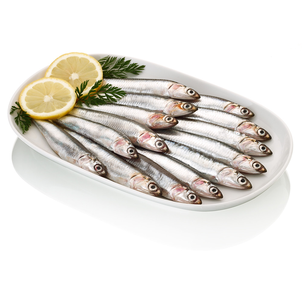 Boquerón pequeño.
