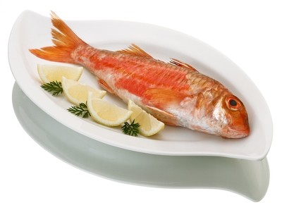 Salmonetes gordos.