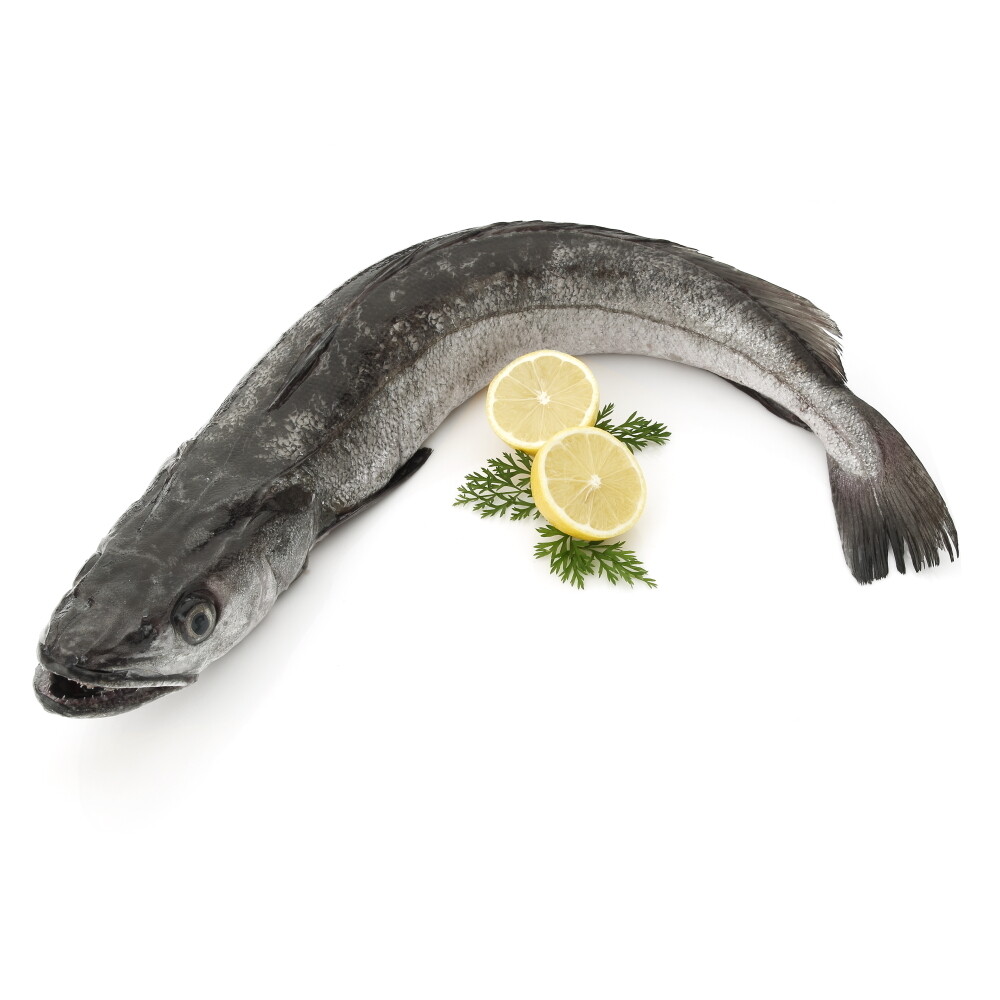 Merluza de volanta