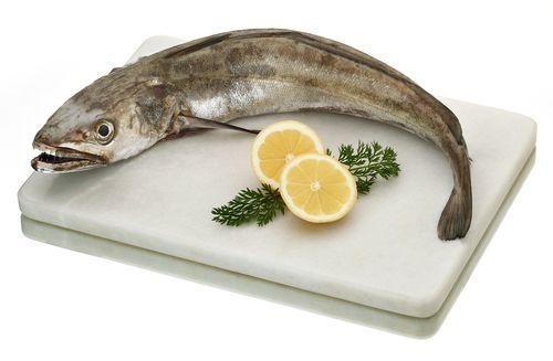 Pescadilla de pincho del Cantábrico.