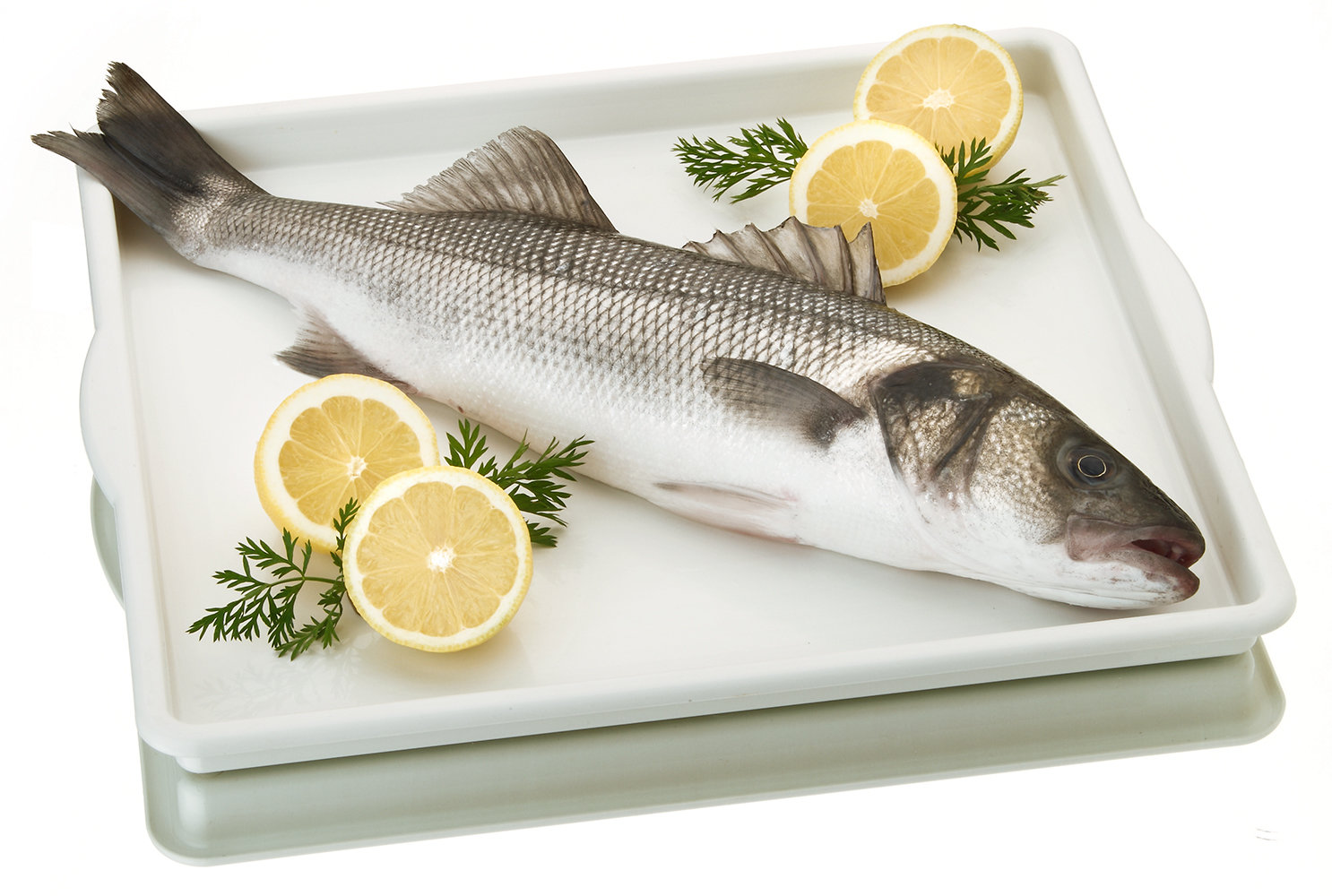 Lubina de los esteros de Cádiz.