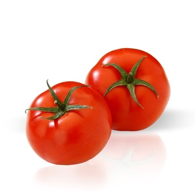 Tomate rojo en rama.