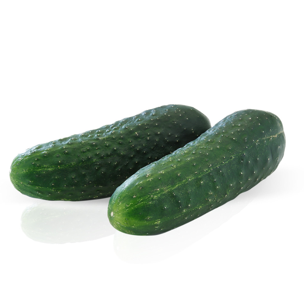 Pepino.