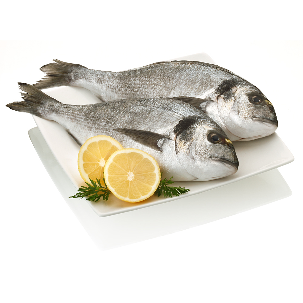 Dorada salvaje