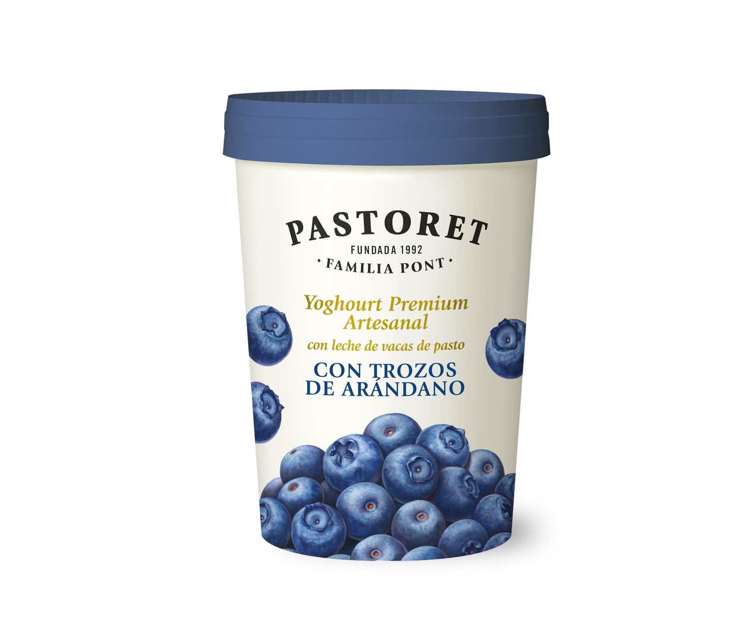Yoghourt artesanal con trozos de arándano PASTORET 475 g