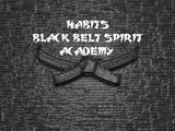 Habits Black Belt Spirit Academy