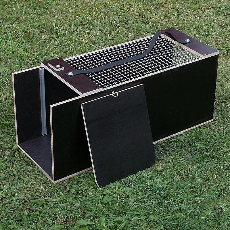 Abfangkasten mittel (70x30x31cm) für alle Waschbärfallen der Cat Reihe