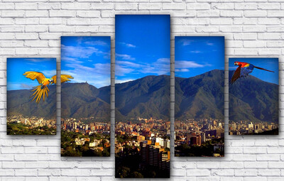 Canvas Avila con Guacamayas