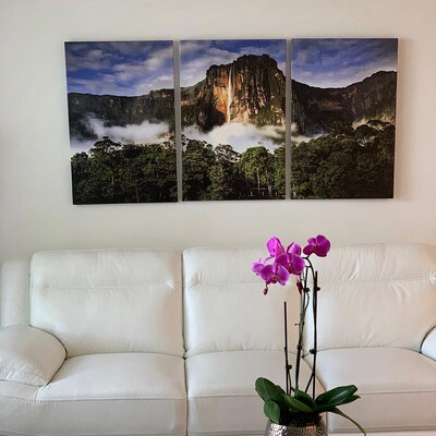 Canvas 30&quot; x 60&quot; Salto Angel