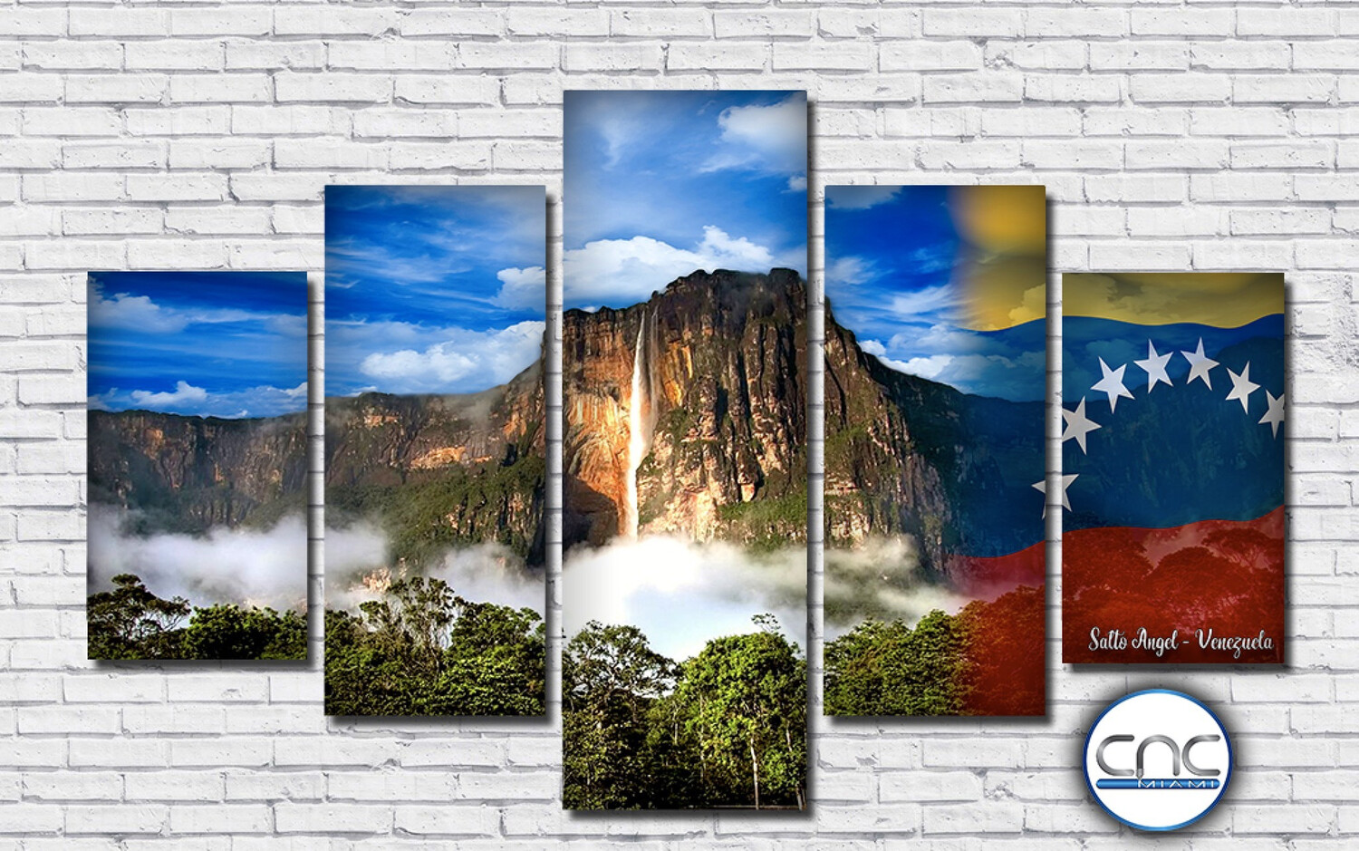 Canvas Salto Angel