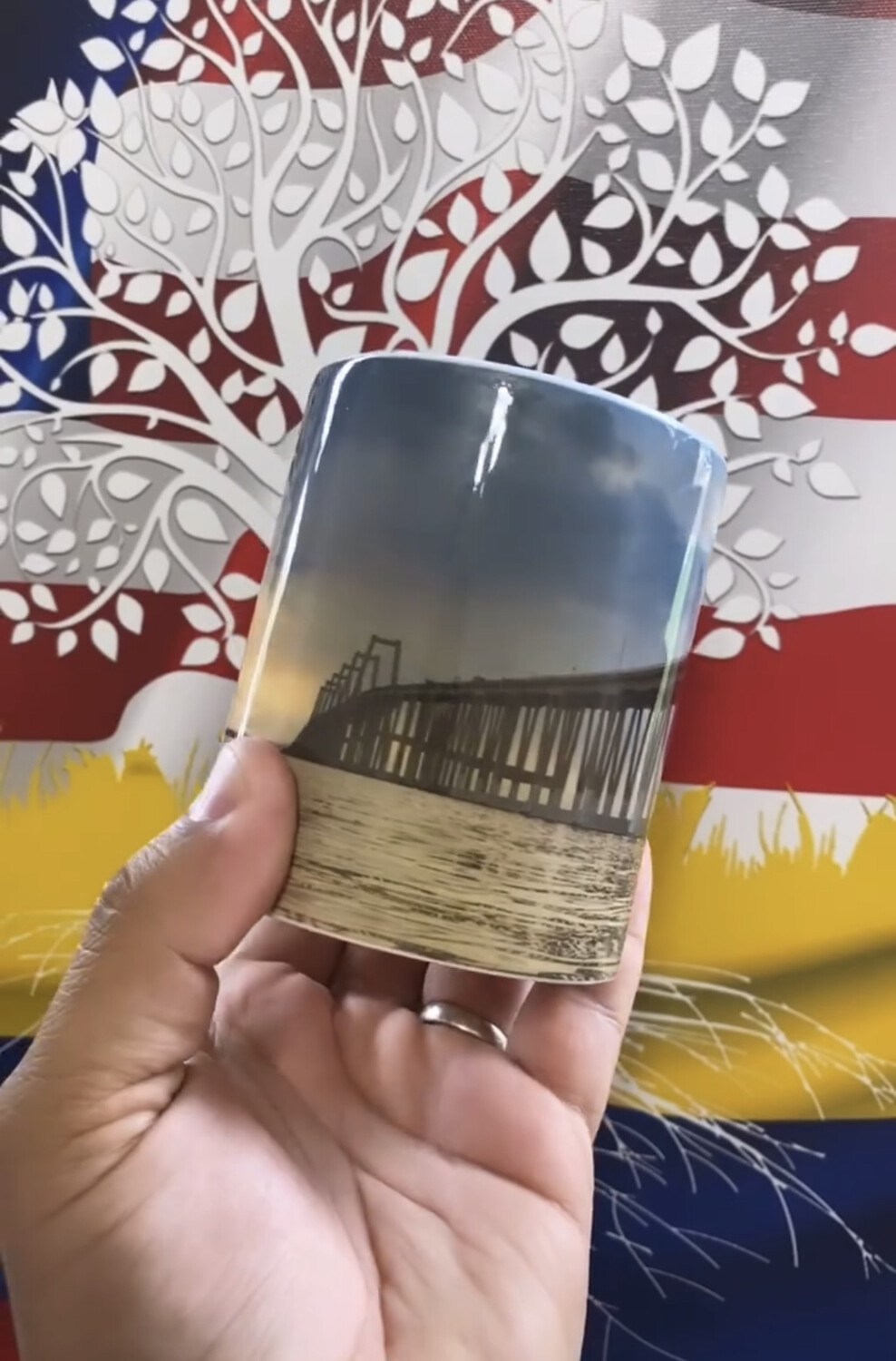 Taza Lago maracaibo