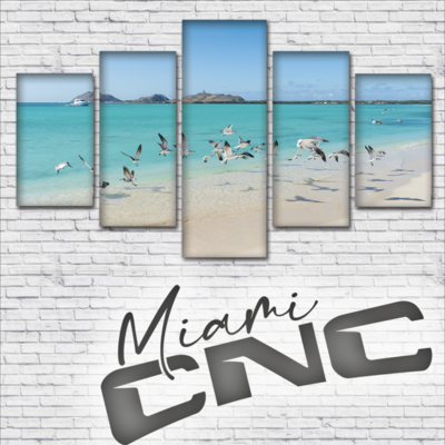 Quintico Los roques