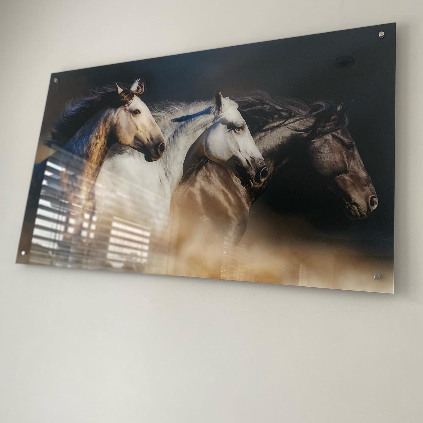 Caballos