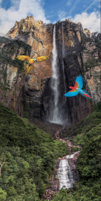 Salto Angel Vertical Acrilico