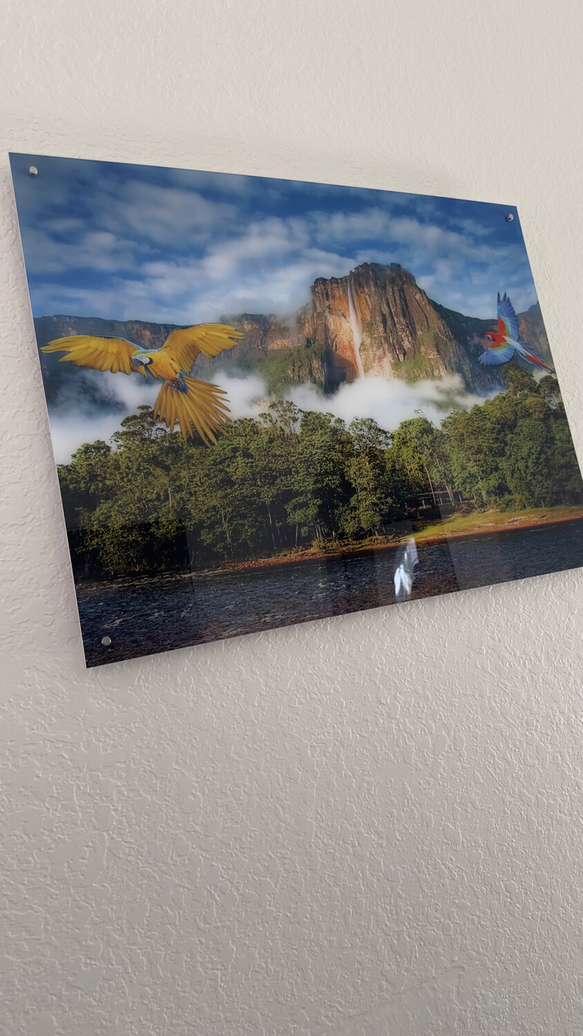 Acrilico Salto Angel