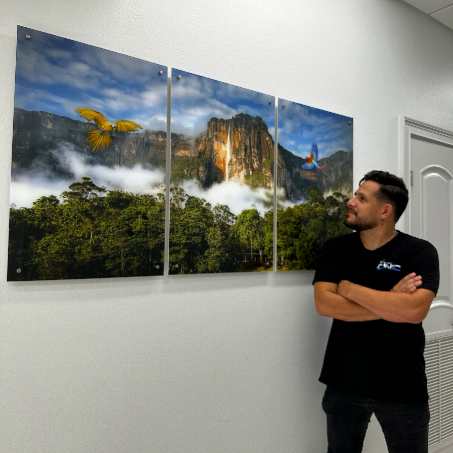 Salto Angel Triptico