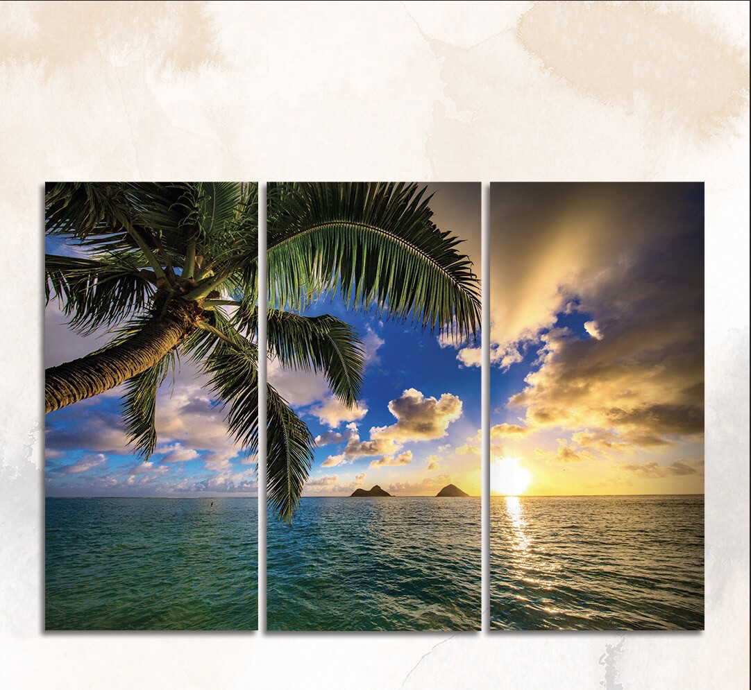 Triptico Playa