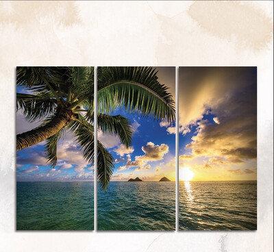 Triptico Playa