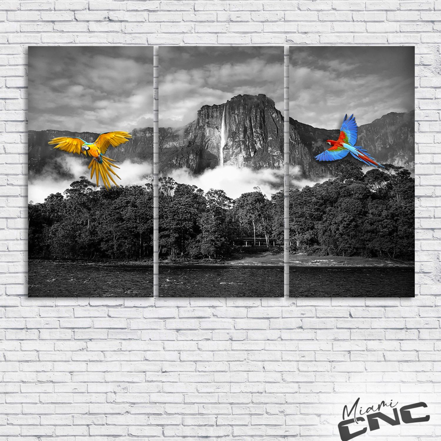 Salto Angel B/w con guacamayas Color