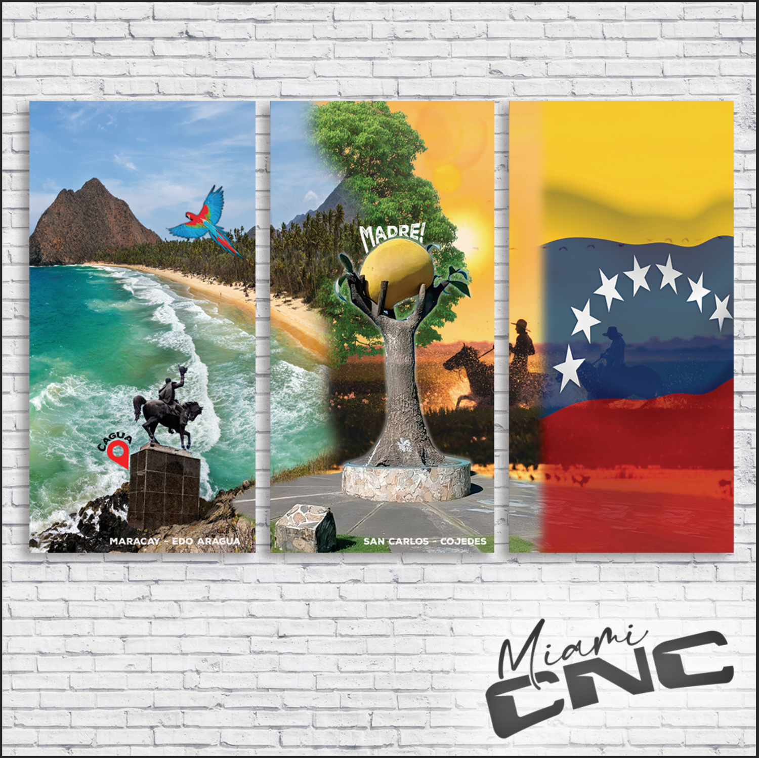Composición Maracay Cojedes