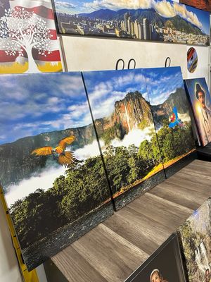 Canvas 30" x 60" Salto Angel
