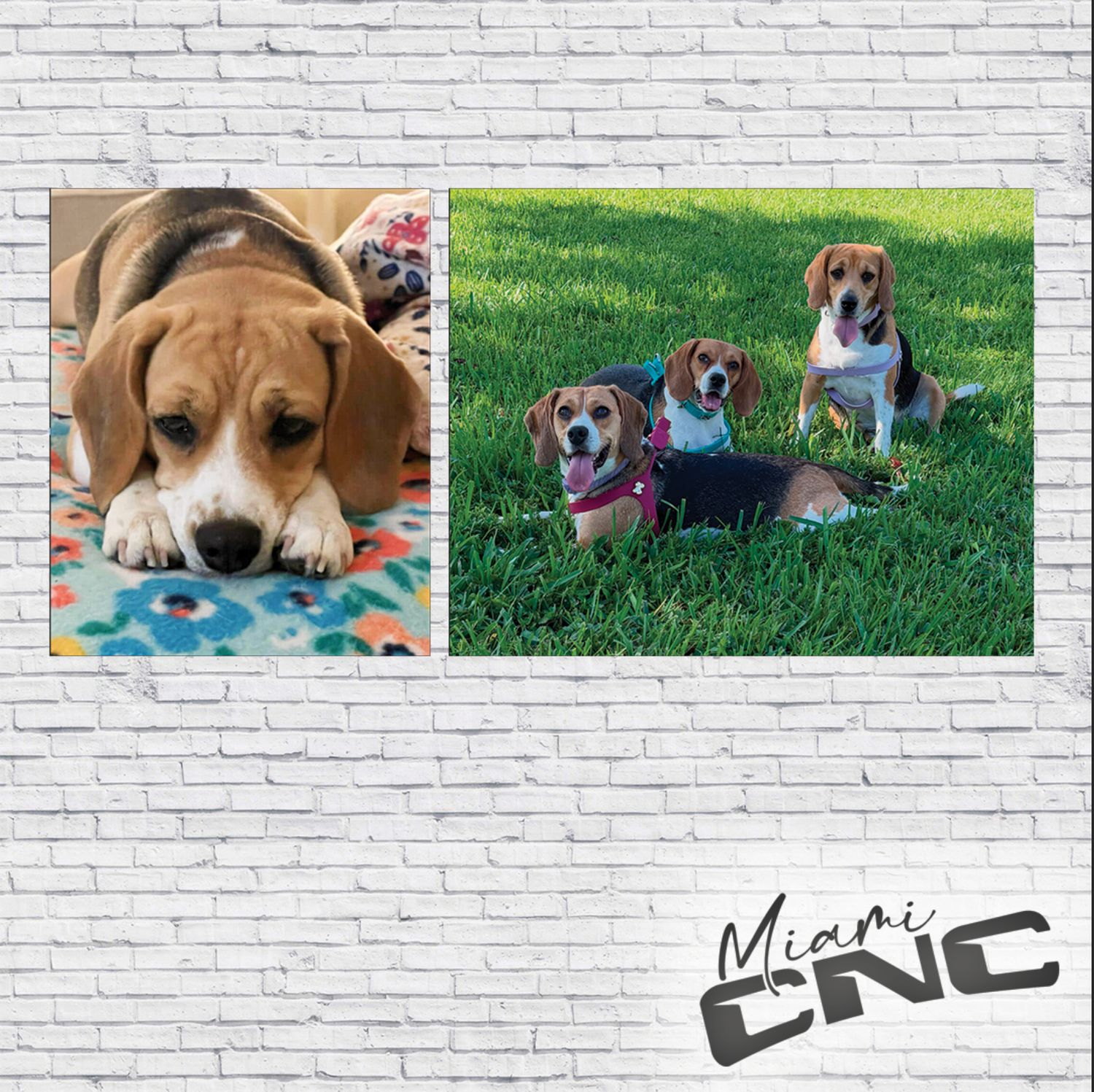 Pedido personalizado