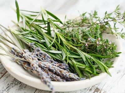 Fűszer- és gyógynövény vetőmag fajták