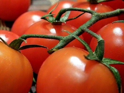 Paradicsom vetőmag fajták