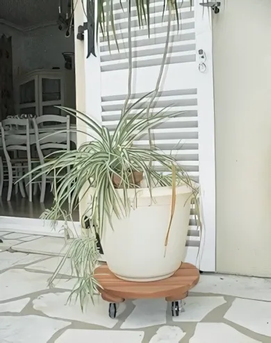 Nortene - Flora Roll Lasure lakkozott keményfa virágalátét, világosbarna, 40 cm