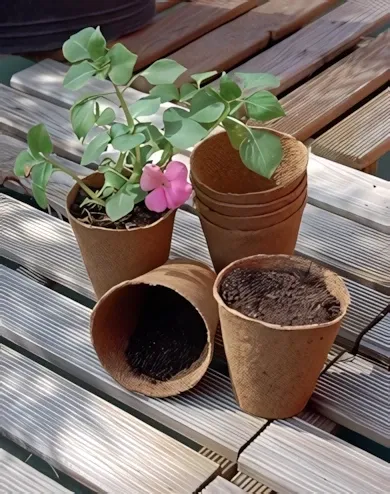 Nortene - Groving Pots - Tőzegcserép 24db