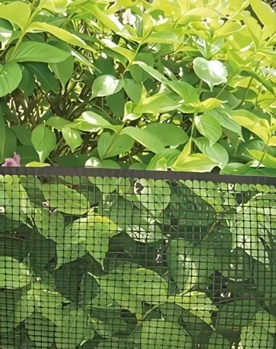 Nortene - Square műanyag kerítésrács, antracit, 1x5 m