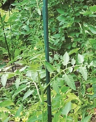 Nortene - Steel Plast műanyag bevonatú acél karó 1,5 m