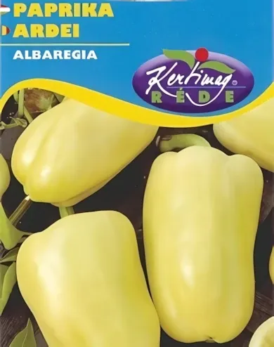 Albaregia- paprika vetőmag