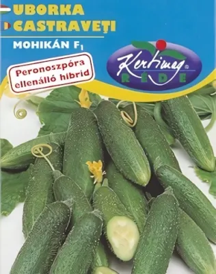 Mohikán F1 - berakóuborka vetőmag