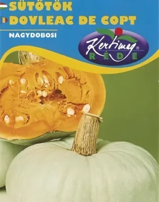 Nagydobosi - sütőtök vetőmag Nagydobosi - sütőtök vetőmag
