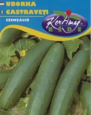 Szenzáció - uborka vetőmag