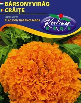 Alacsony növ. narancssárga Bársonyvirág -  virágmag