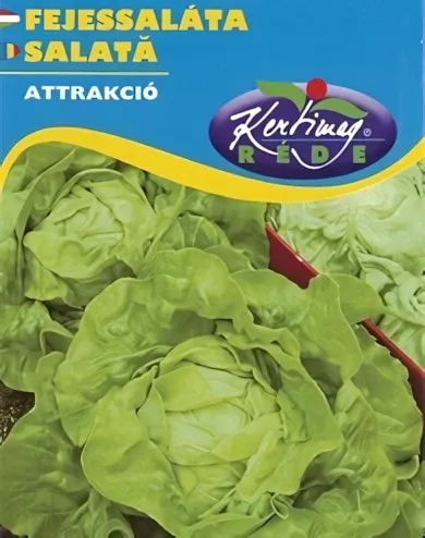 Attrakció - fejessaláta vetőmag