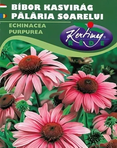 Bíbor kasvirág - vetőmag