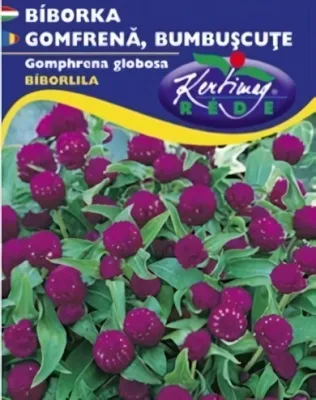 Bíborlila Bíborka -  virágmag