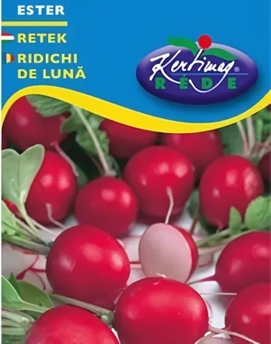 Ester -  retek  vetőmag