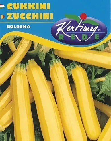 Goldena - cukkini vetőmag