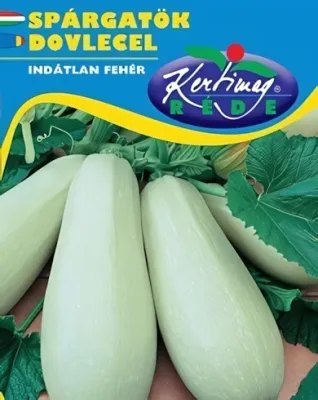 Indátlan fehér - spárgatök vetőmag