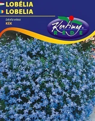 Kék Lobélia -  virágmag