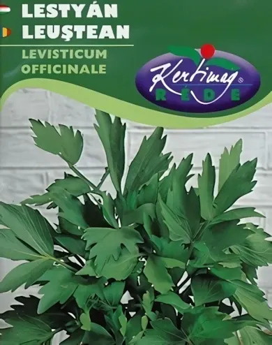 Lestyán - vetőmag
