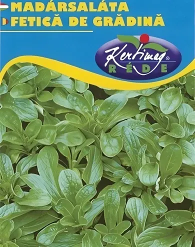 Madársaláta - vetőmag