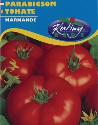 Marmande - paradicsom vetőmag