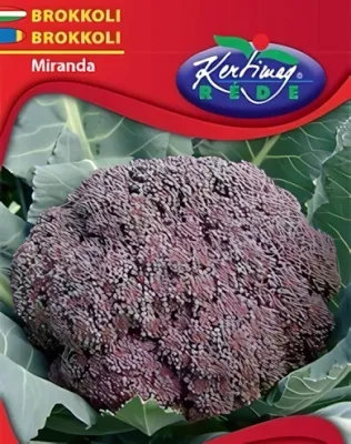 Miranda - brokkoli vetőmag