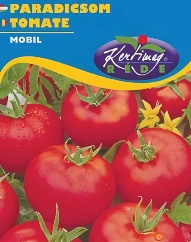 Marmande- paradicsom vetőmag