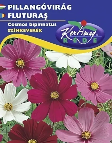 Pillangóvirág színkeverék - virágmag